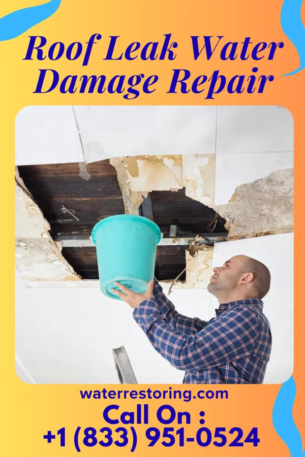 Roof Leak Water Damage Repair in New Port Richey East, FL